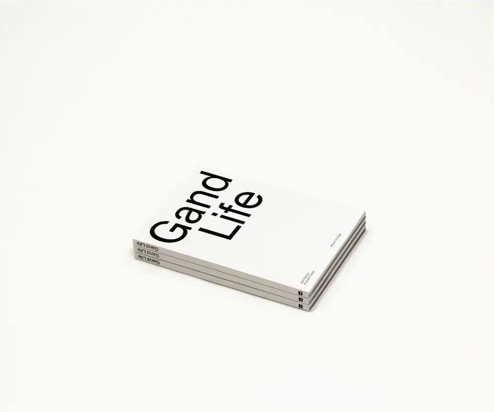 Trois exemplaires empilés sur un fond blanc, ils sont eux même blancs avec un grand titre centré.